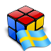 Swedish locale